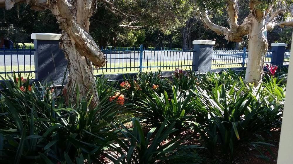 Forster Holiday Village Esterno foto